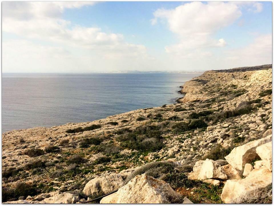 House On The Hill Βίλα Ξυλοφάγου Εξωτερικό φωτογραφία